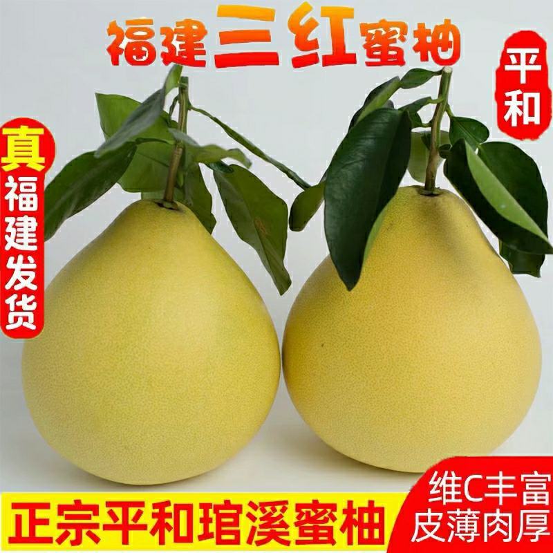 红心柚子三红柚子福建平和琯溪蜜柚三红柚葡萄柚