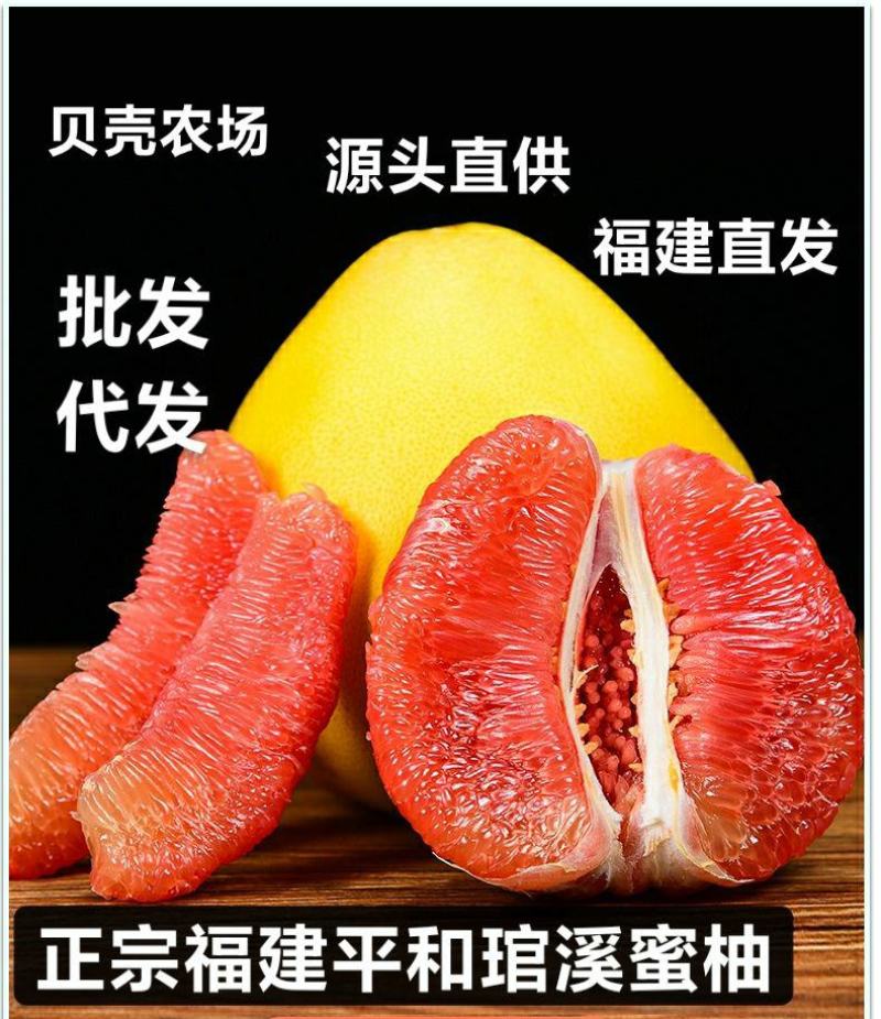 红心柚子三红柚子福建平和琯溪蜜柚三红柚葡萄柚