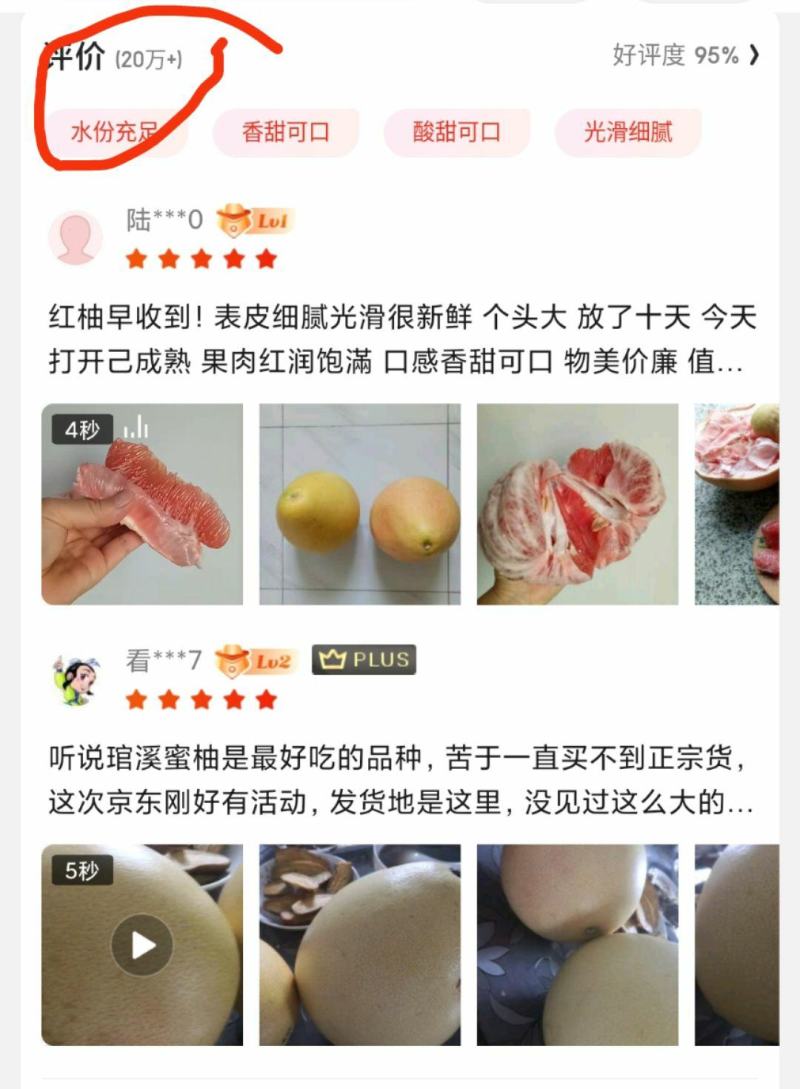 红心柚子三红柚子福建平和琯溪蜜柚三红柚葡萄柚