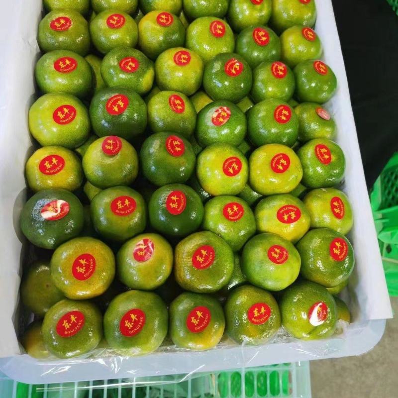 蜜橘，产地货源，量大从优，价格随行就市，可视频看货