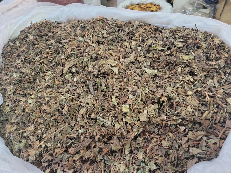 鱼腥草产地四川一件代发代磨粉中药材批发