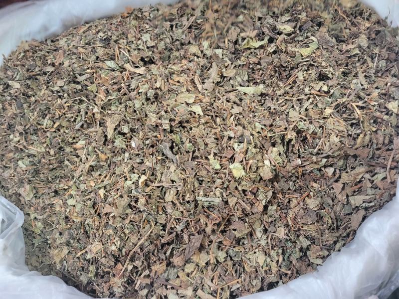 鱼腥草产地四川一件代发代磨粉中药材批发
