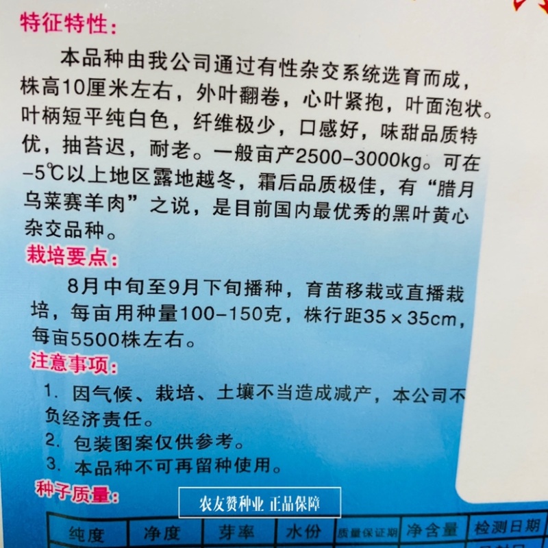 蔬研精品黄心菜种子基地专用特矮棵黄心乌塌菜种子耐寒菜