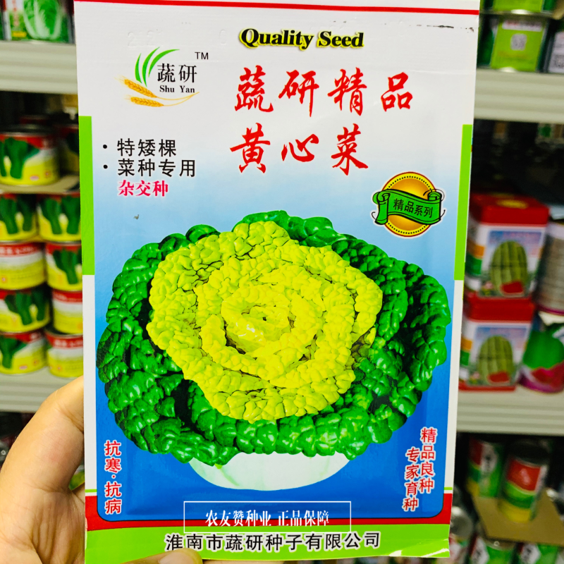 蔬研精品黄心菜种子基地专用特矮棵黄心乌塌菜种子耐寒菜