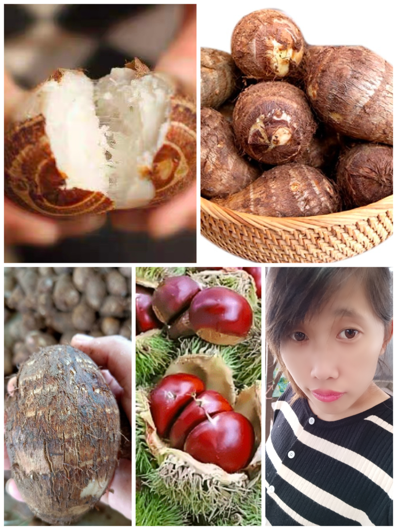 山东芋头【原产地】供应电商，市场，超市货源充足