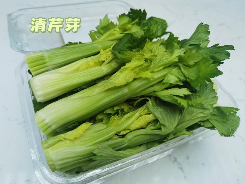 新鲜水果芹菜约250g一包餐厅饭店点缀可食用