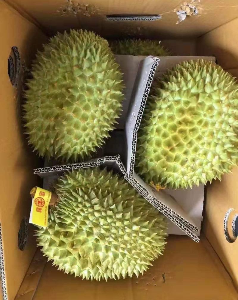 泰国金枕榴莲大黄干包肉，不泡药水不催熟。