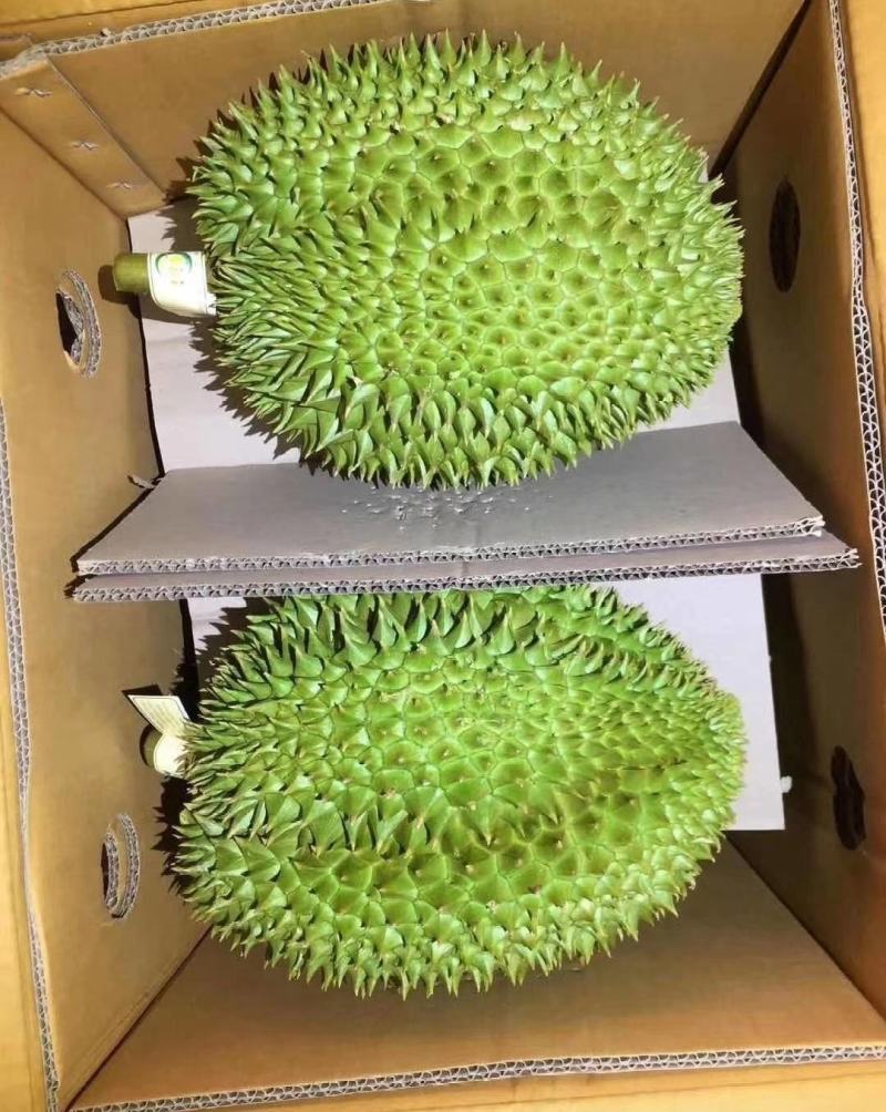 泰国金枕榴莲大黄干包肉，不泡药水不催熟。