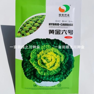 黄心乌种子德赛黄金6号一代杂交品种耐寒黄心乌塌菜种子