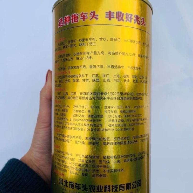 清香四季葱种子，分葱种子500克