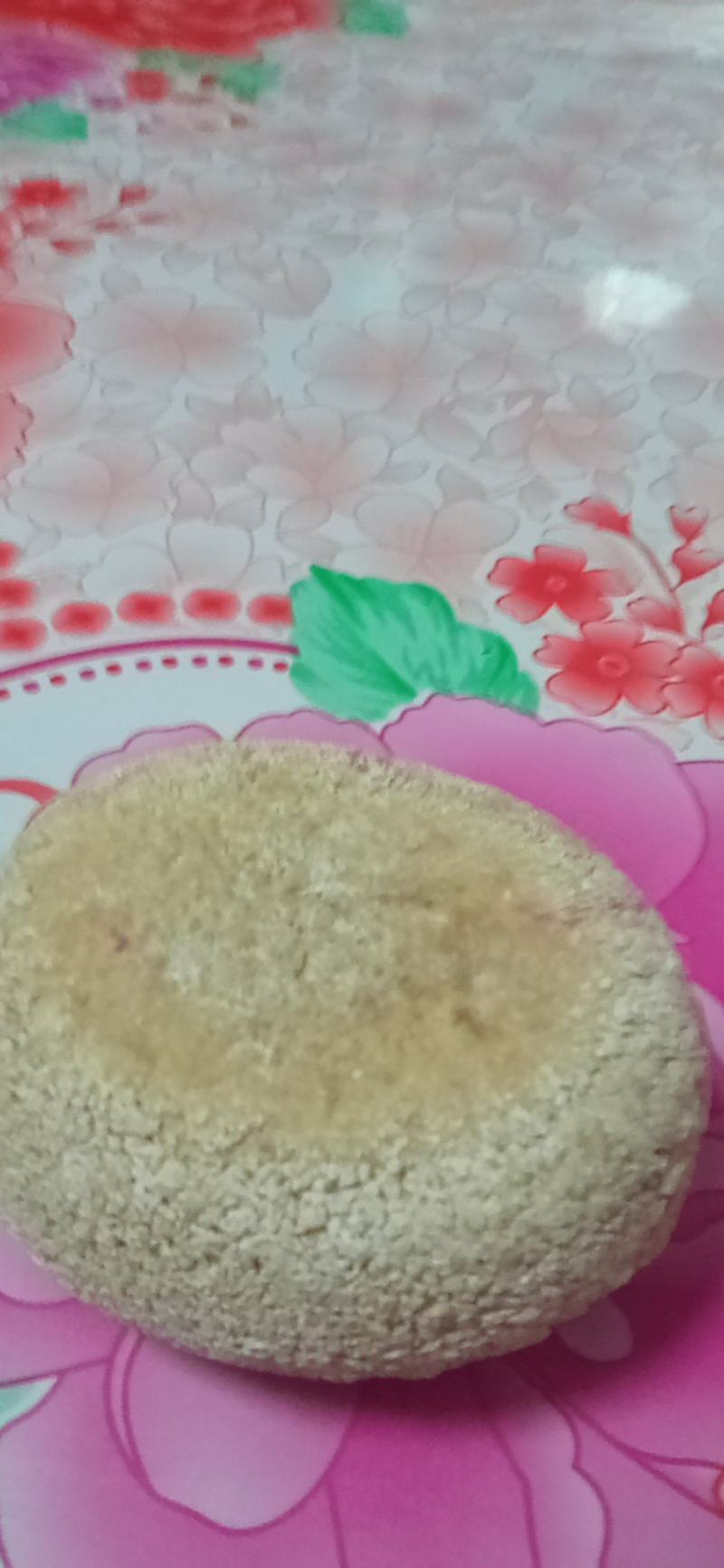 天然狗宝