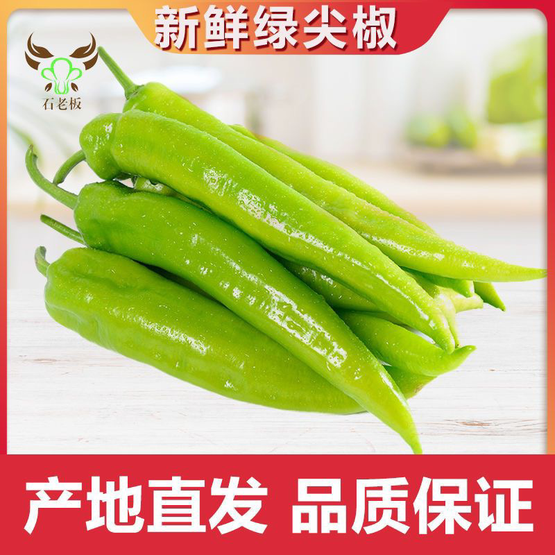 【推荐】青尖椒大量上市新鲜青椒现货现发品质保证