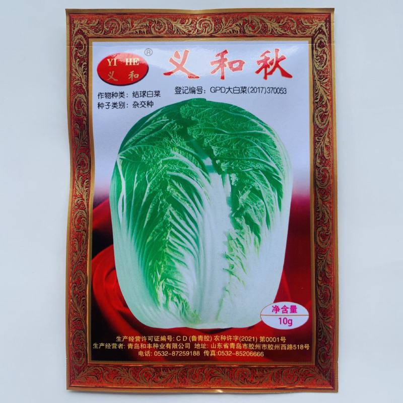 小义和秋良种高产早熟大白菜种子抗病秋白菜秋季种味好孑籽胶