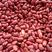 农副产品豆类红豆