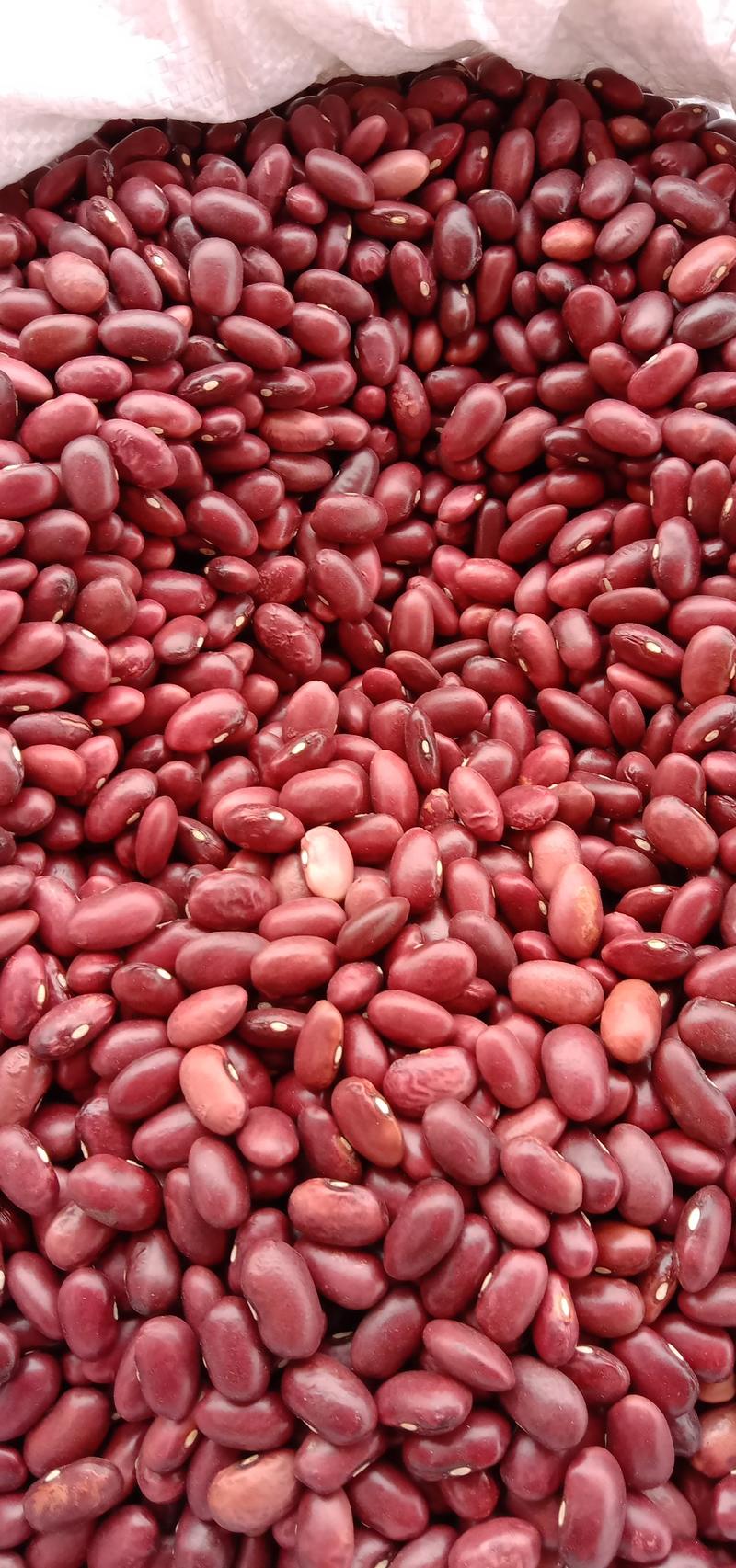 农副产品豆类红豆