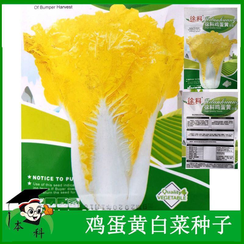 鸡蛋黄白菜种子大白菜种籽黄心白菜种孑黄叶白菜种子秋播春