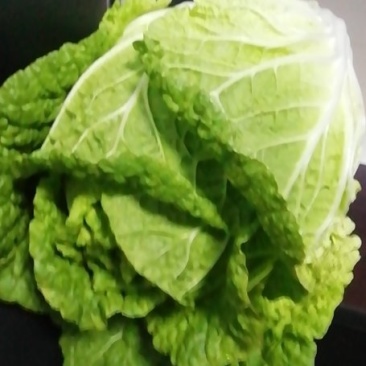 精品，货源充足