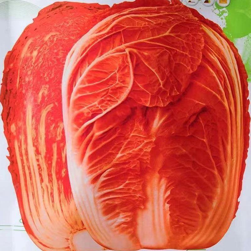 红金宝大白菜种子火凤凰大白菜种籽红白菜籽抗病高钙橘红心白