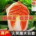 火凤凰大白菜种子红白菜籽橘红心白菜农家大田易种植抗病高产