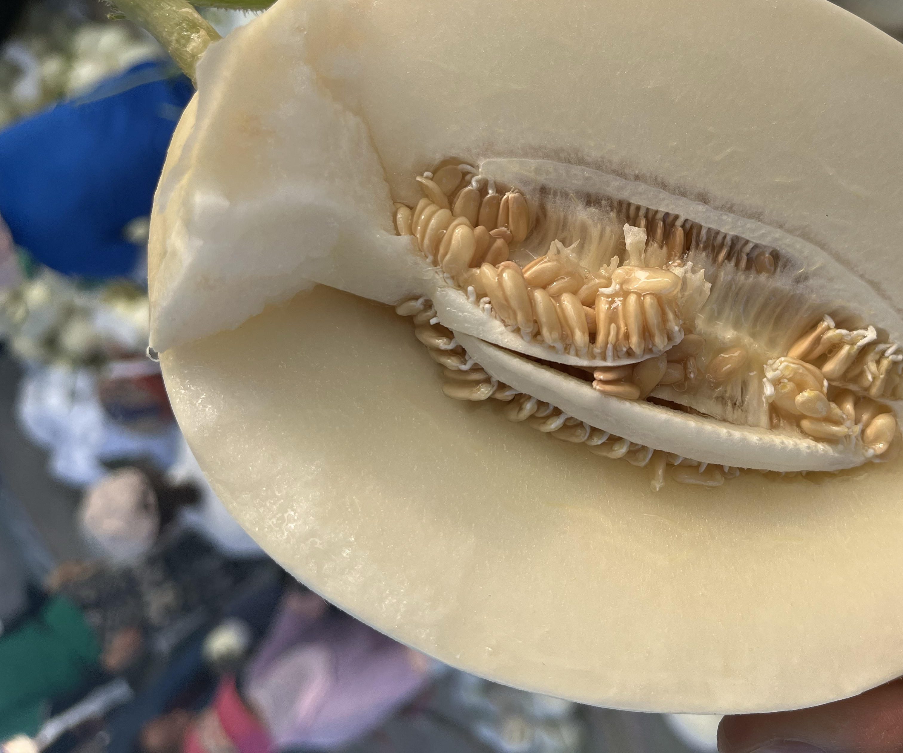 车厘子果肉内部的小白虫特写