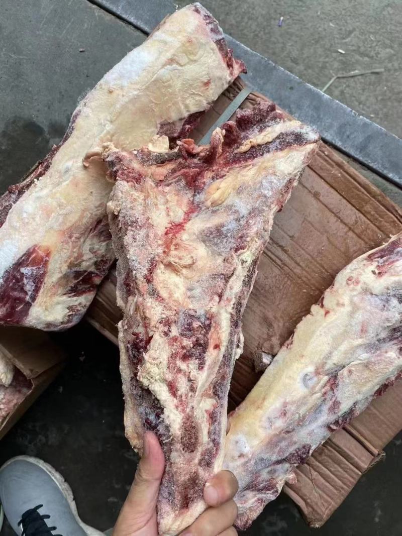 牛胸骨现货，可卤炖红烧，价格美丽，欢迎咨询，非诚勿扰！！