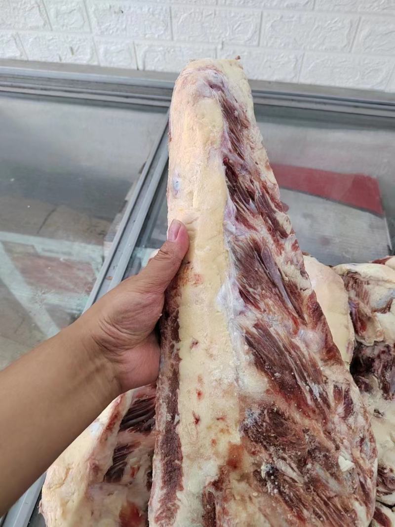 牛胸骨现货，可卤炖红烧，价格美丽，欢迎咨询，非诚勿扰！！