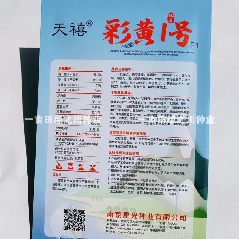 彩黄1号F1黄心乌种子腊月乌菜一代杂交耐寒黄心菜种子