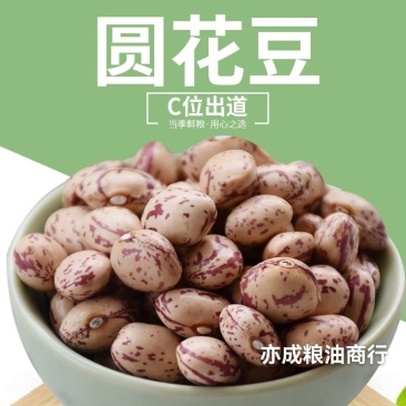 圆花豆现货批发2025年新花芸豆雀蛋豆