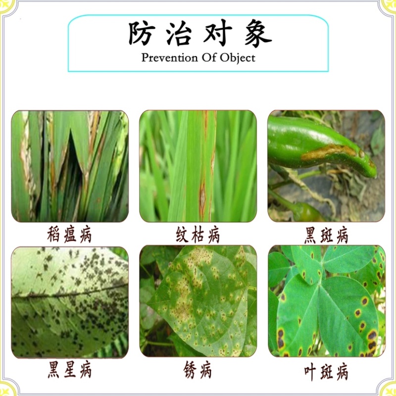 40%苯醚甲环唑稻瘟病纹枯病黑斑病黑星病锈病叶斑病白粉病