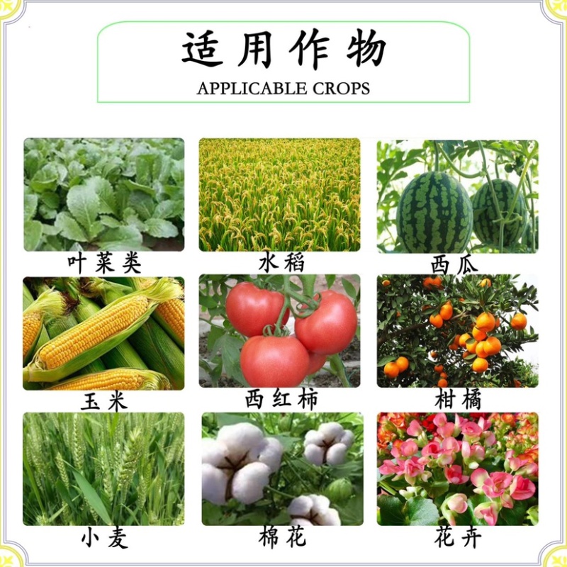 40%苯醚甲环唑稻瘟病纹枯病黑斑病黑星病锈病叶斑病白粉病