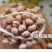 圆花豆现货批发2025年新花芸豆雀蛋豆