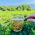 张家界霉茶藤茶龙须茶