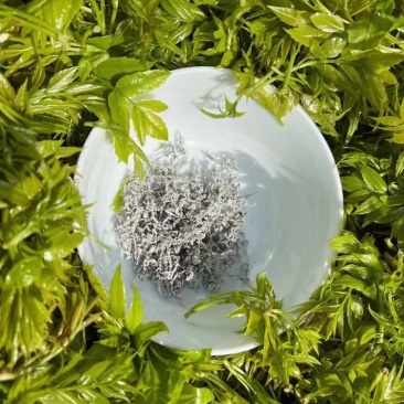 张家界霉茶藤茶龙须茶