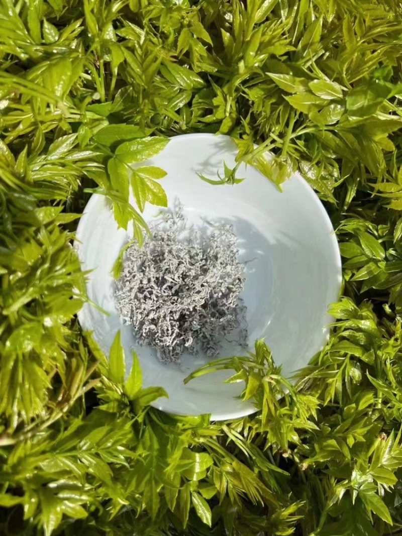 张家界霉茶藤茶龙须茶