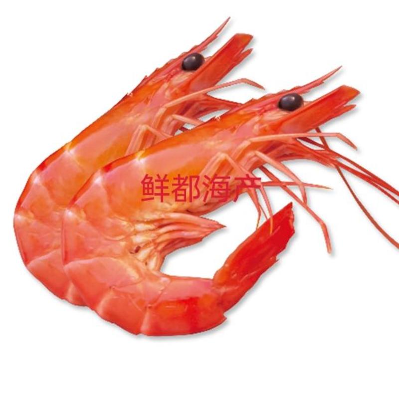 海水虾/活煮/超红/超鲜/斑节虾/熟黑虎虾16/20