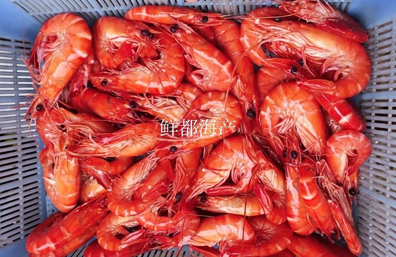 海水虾/活煮/超红/超鲜/斑节虾/熟黑虎虾26/30