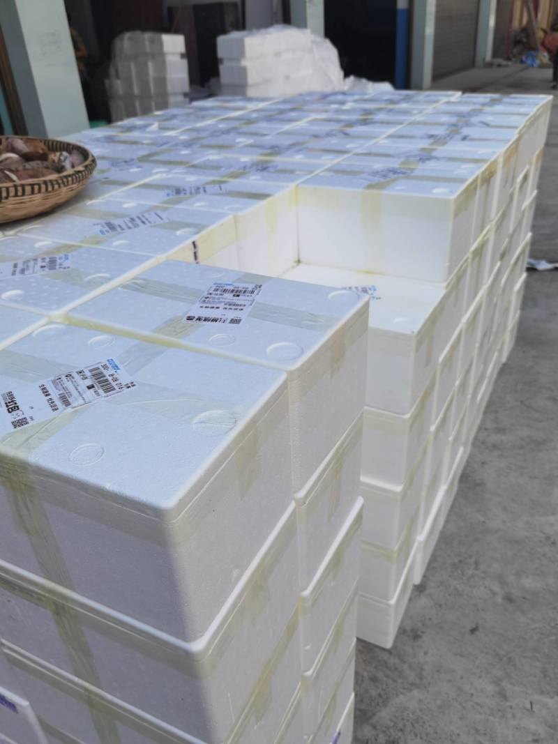 八月瓜大宗采购一件代发电商代办批发对接整车