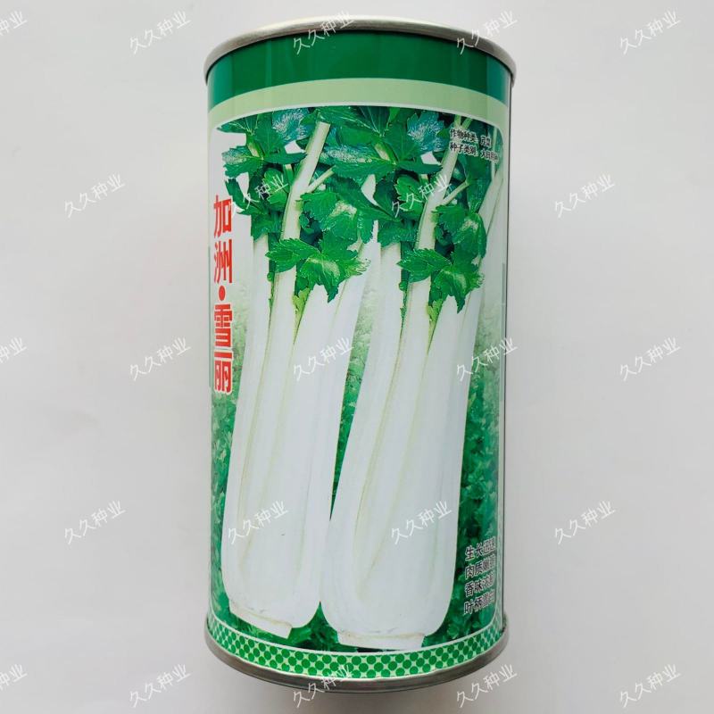 加洲雪丽白实芹种子四季芹菜种嫩白清香菜园基地种抗热耐寒