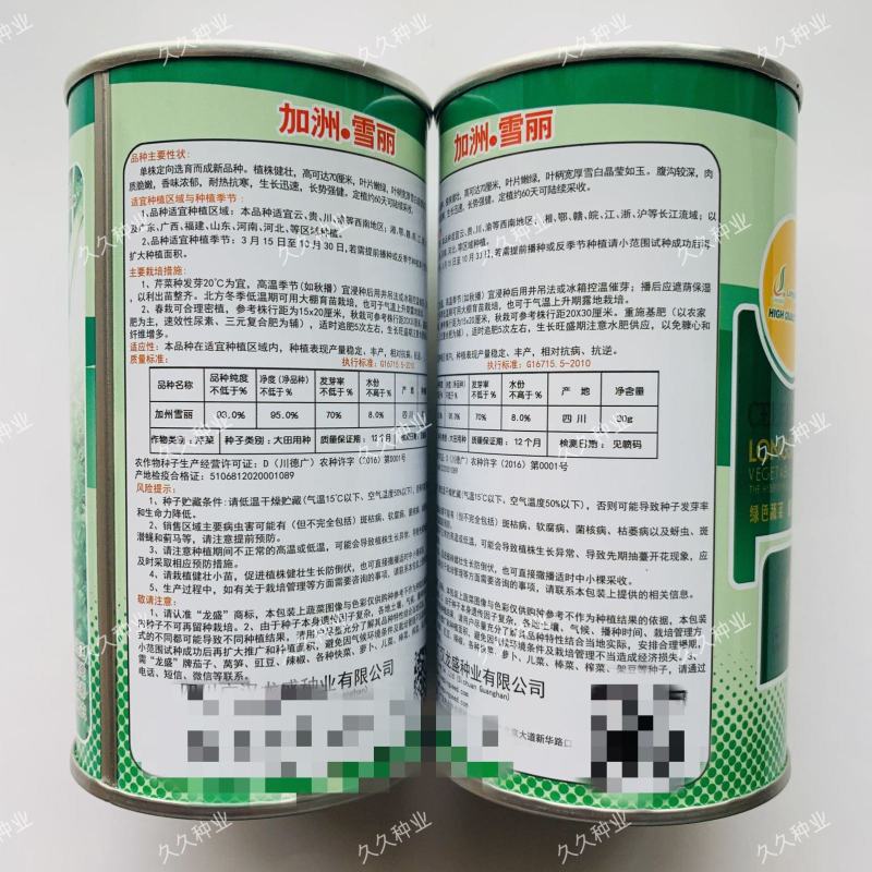 加洲雪丽白实芹种子四季芹菜种嫩白清香菜园基地种抗热耐寒