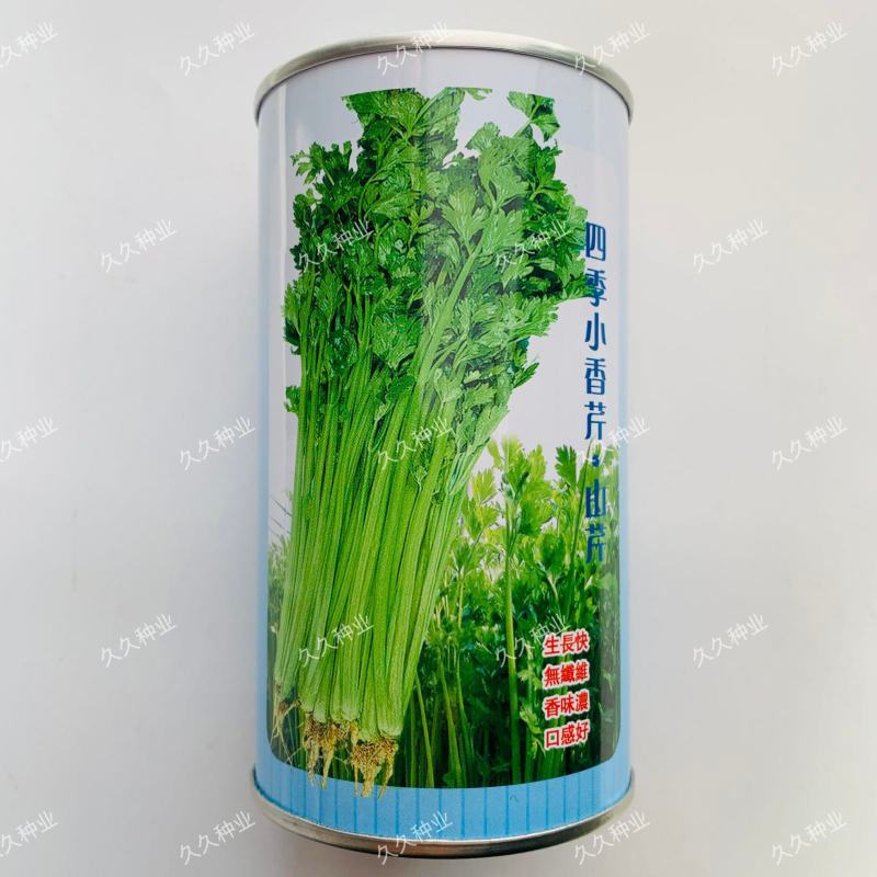 四季小香芹山芹种子香味浓脆嫩本地小山芹种子抗病高产蔬菜种