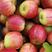 本地特产123小苹果，鸡心果，龙丰果…质量保证价格合理