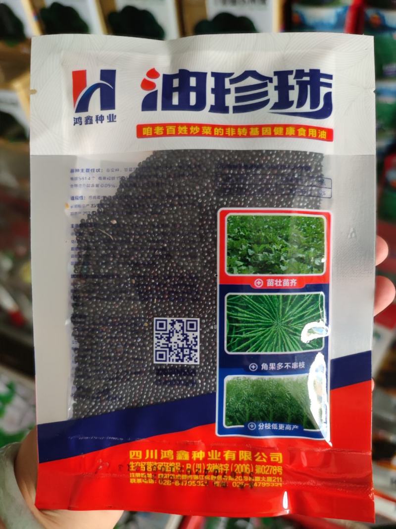 油珍珠油菜种子，85克，高产矮杆抗倒