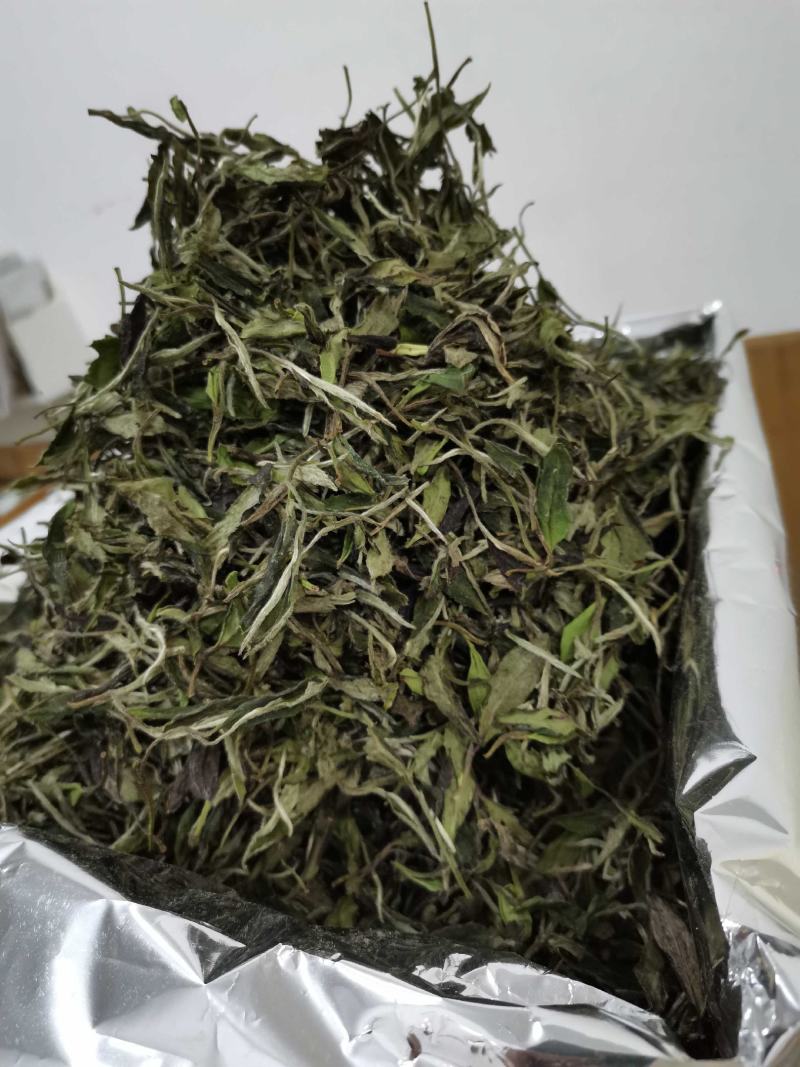 福鼎白茶2022年新茶二级白牡丹散茶新品上市
