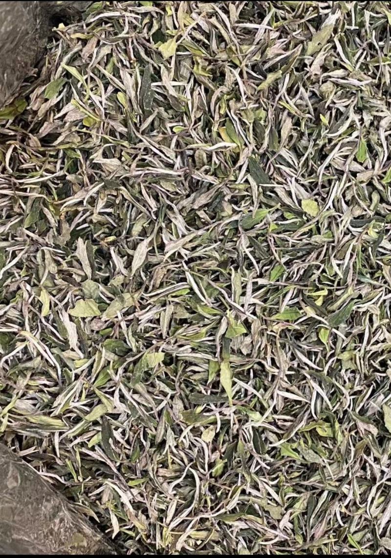 福鼎白茶2022年新茶二级白牡丹散茶新品上市