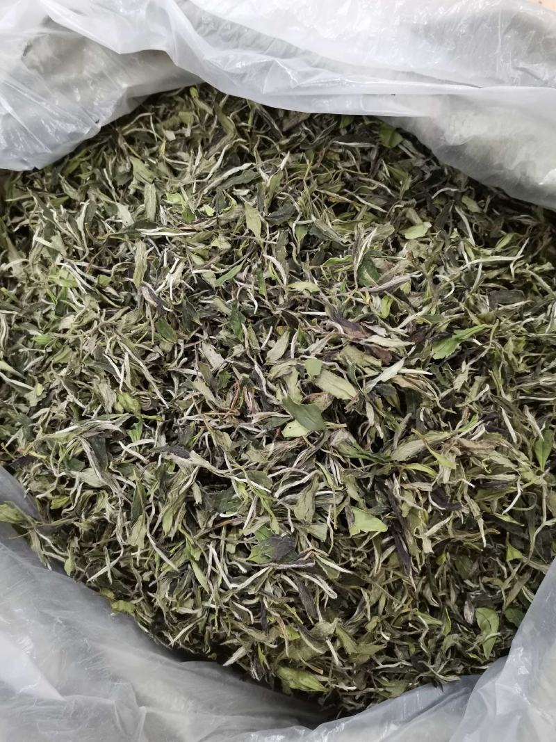 福鼎白茶2022年新茶二级白牡丹散茶新品上市