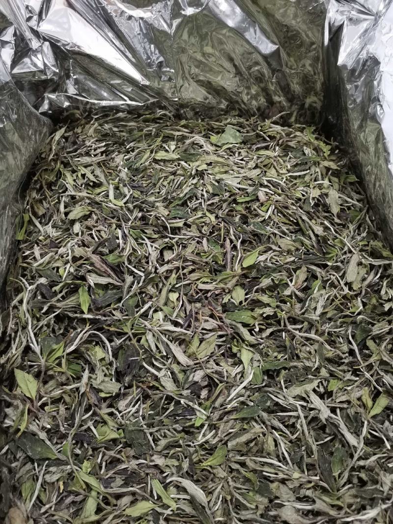 福鼎白茶2022年新茶二级白牡丹散茶新品上市