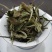 福鼎白茶2022年新茶二级白牡丹散茶新品上市