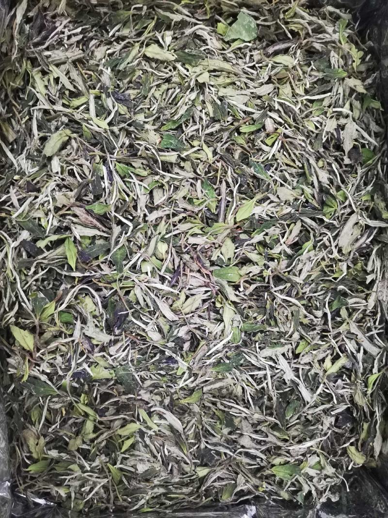 福鼎白茶2022年新茶二级白牡丹散茶新品上市