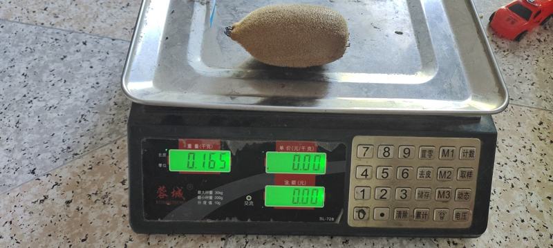米良1号果大，味甜，到达成熟期，需要的老板看过来，保证不