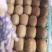 精品海沃德